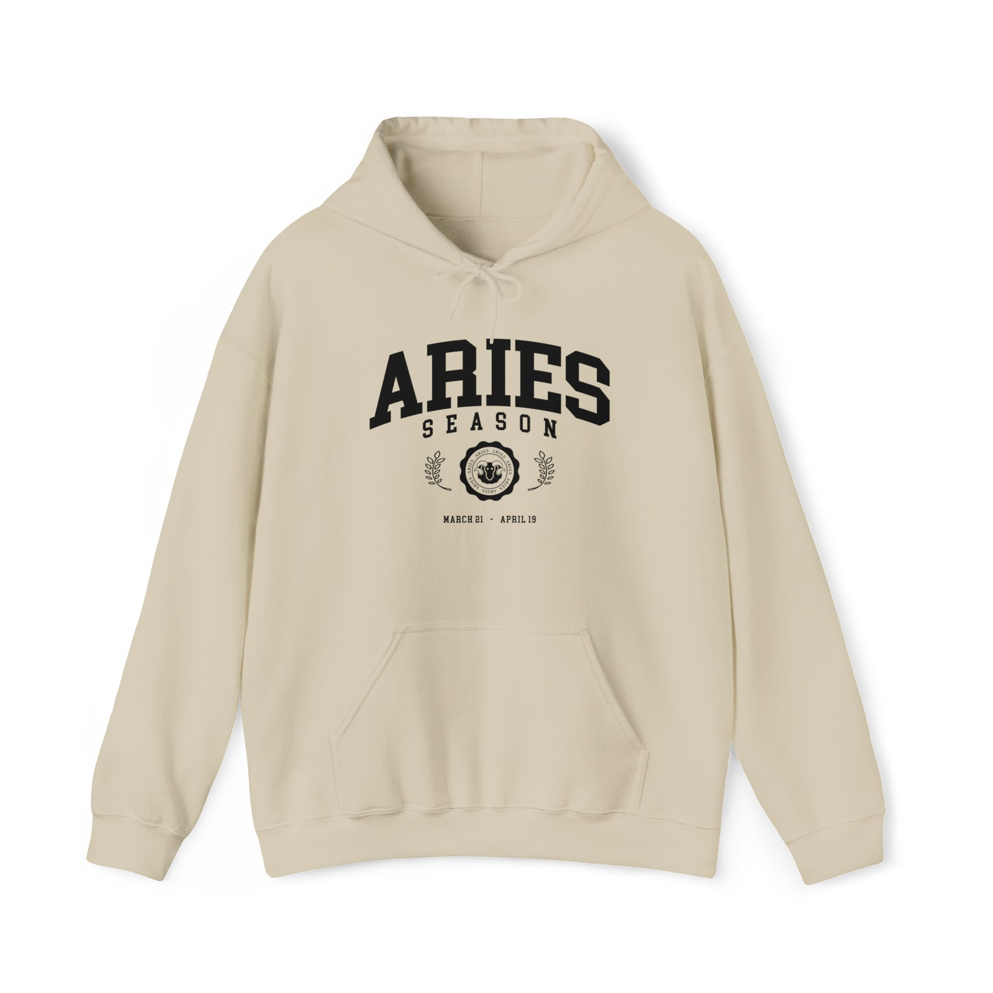Aries University Hoodie