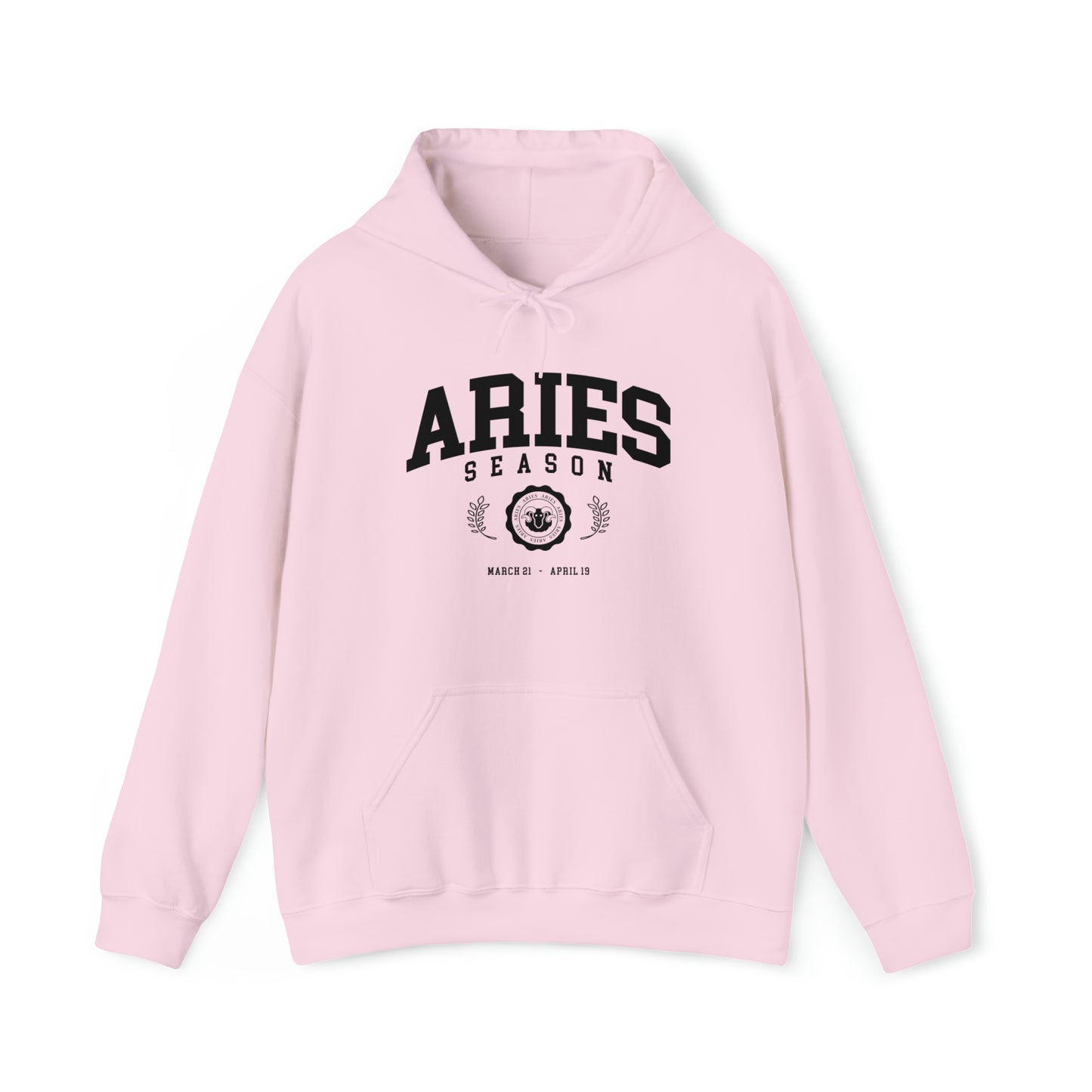 Aries University Hoodie