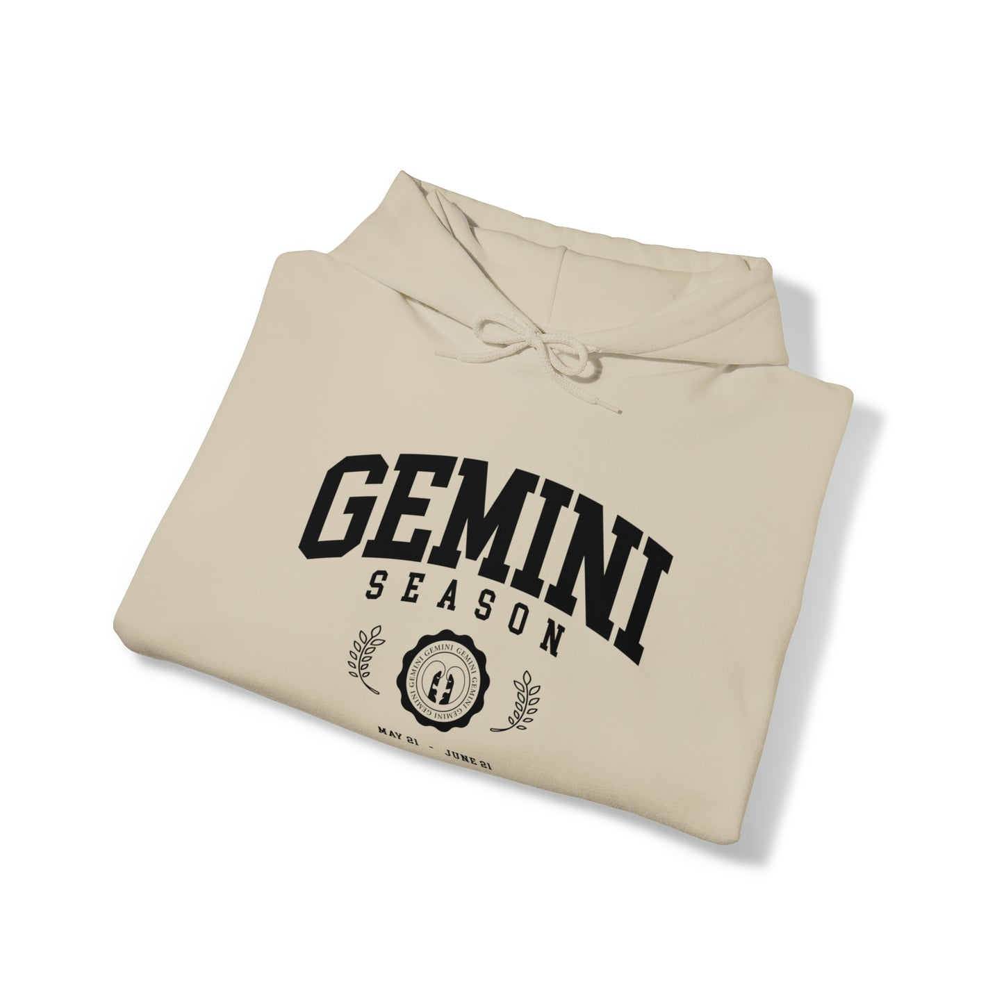 Gemini University Hoodie