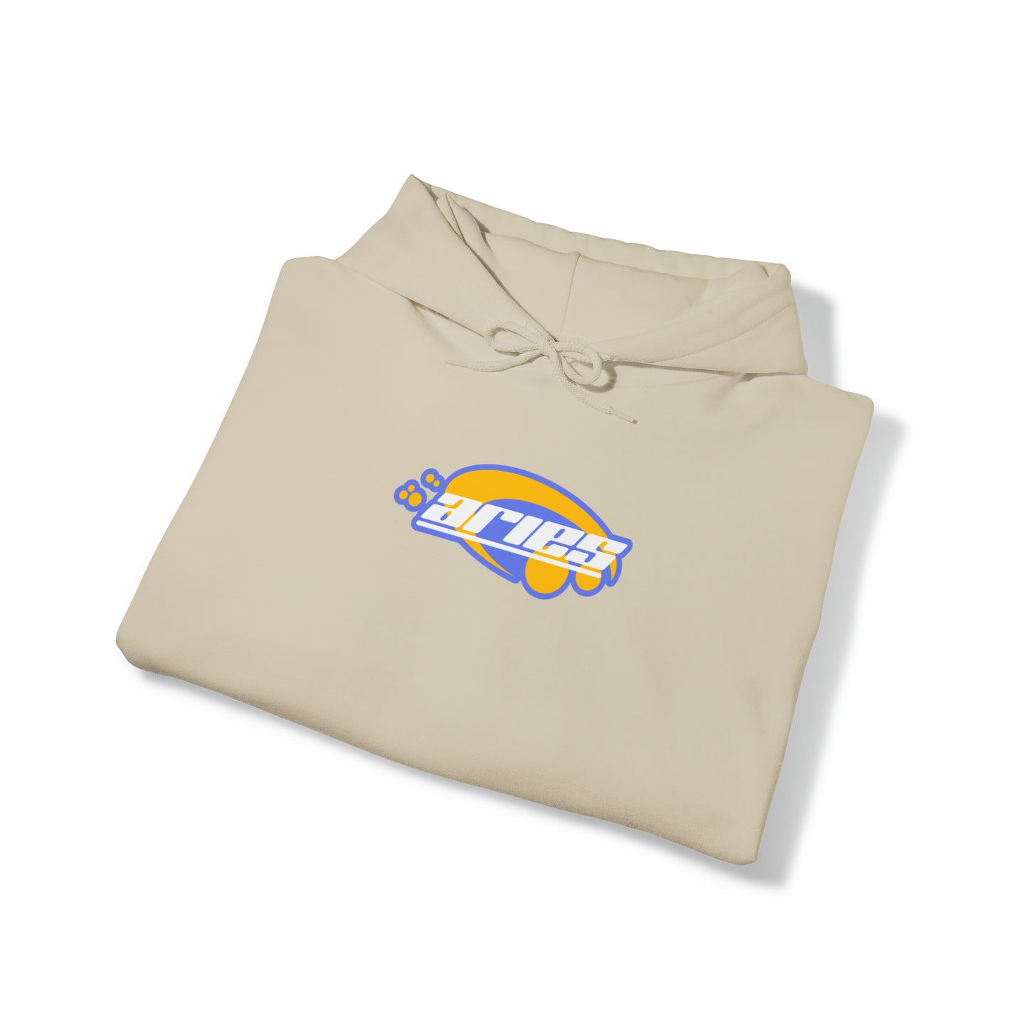 Aries Y2K Hoodie