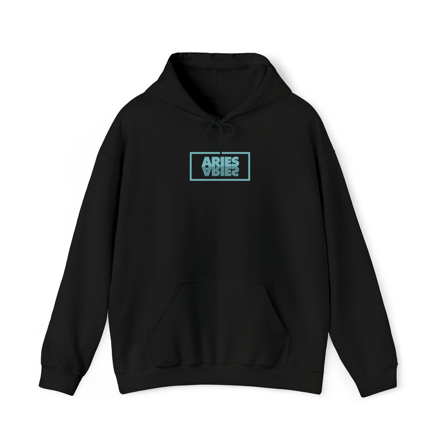 Aries Reflection Hoodie