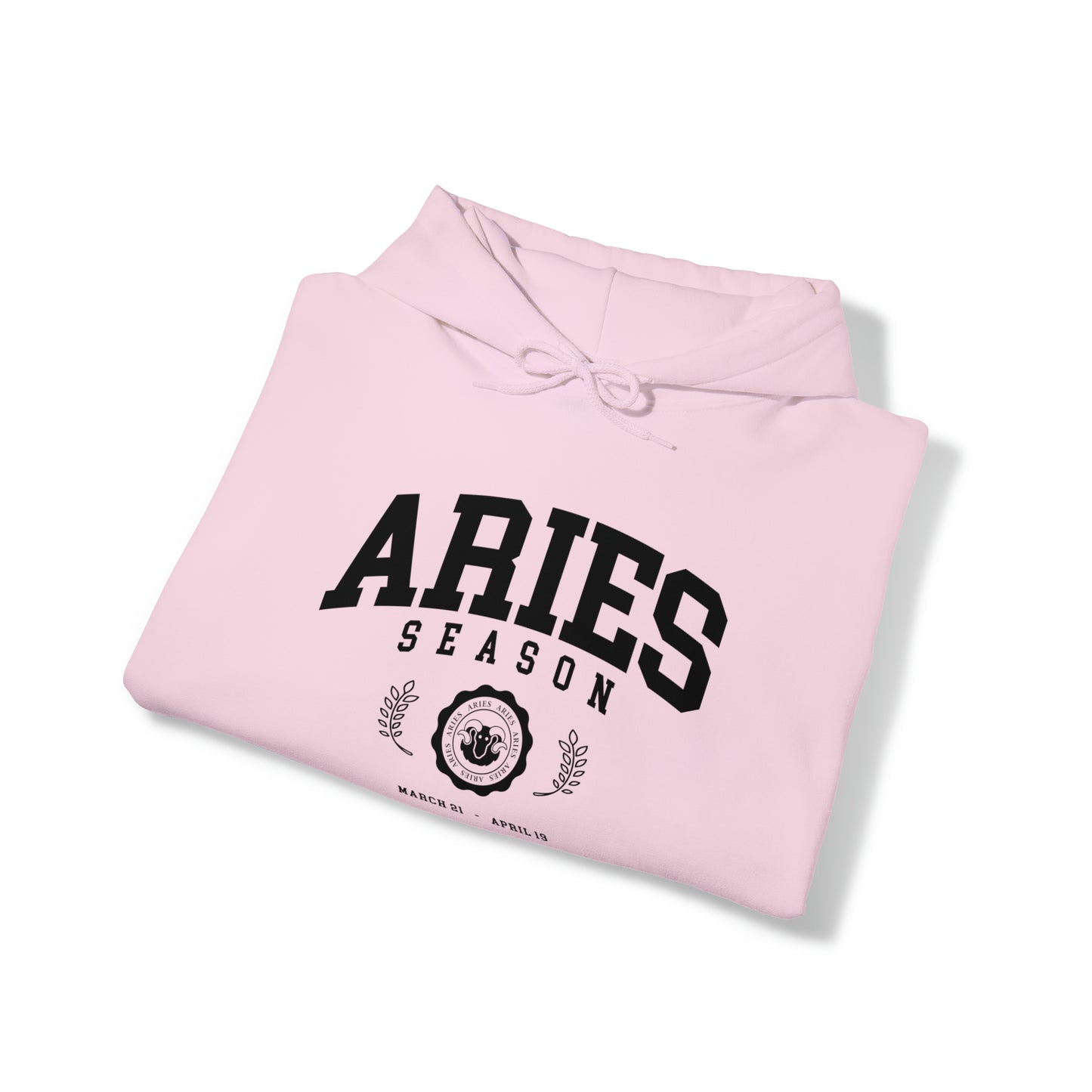 Aries University Hoodie