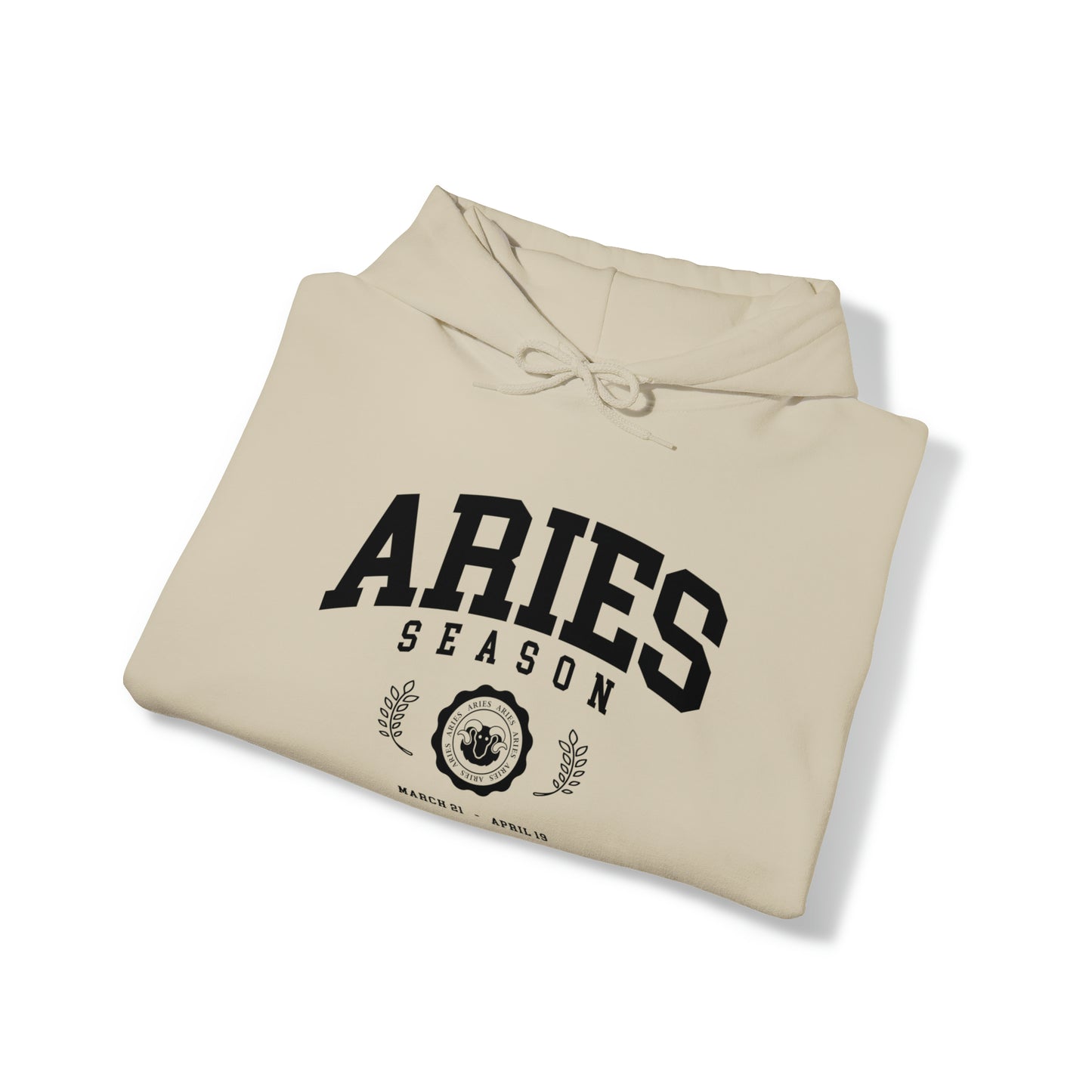Aries University Hoodie