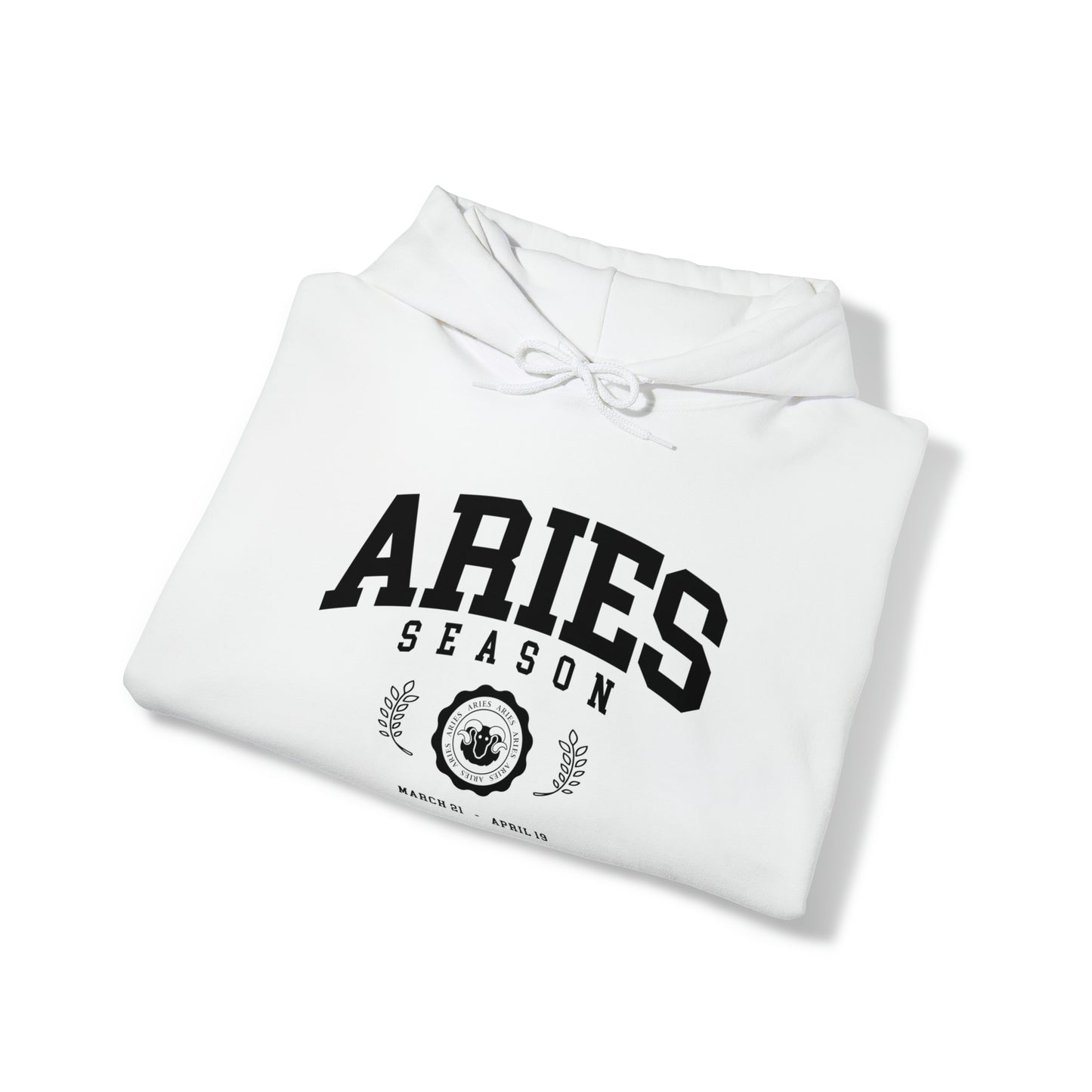Aries University Hoodie