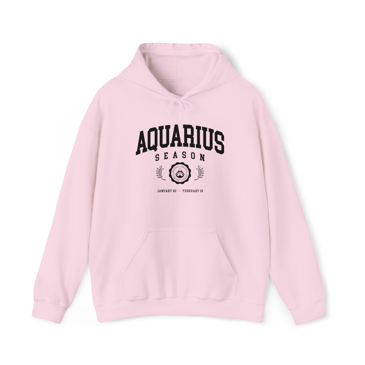 Aquarius University Hoodie