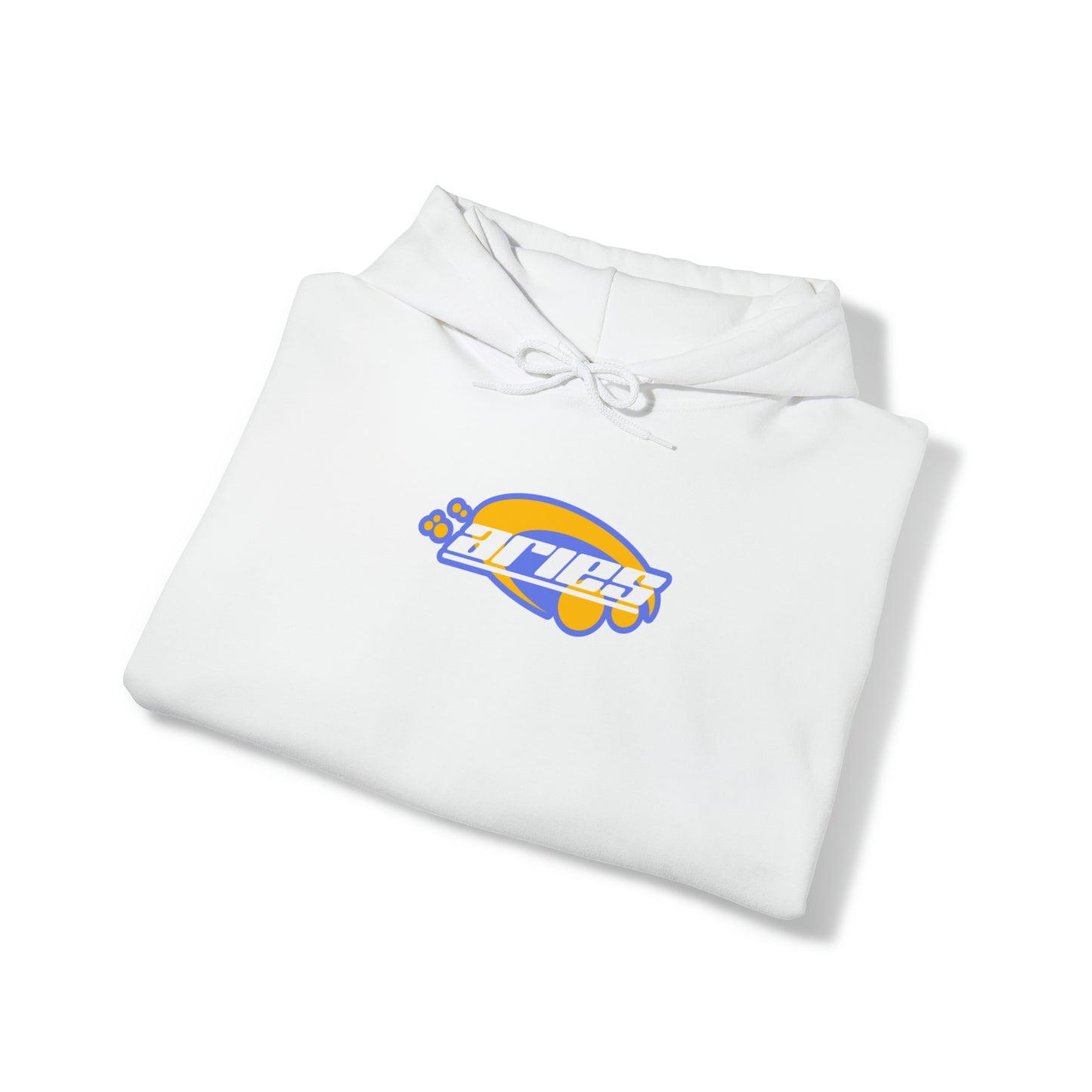 Aries Y2K Hoodie