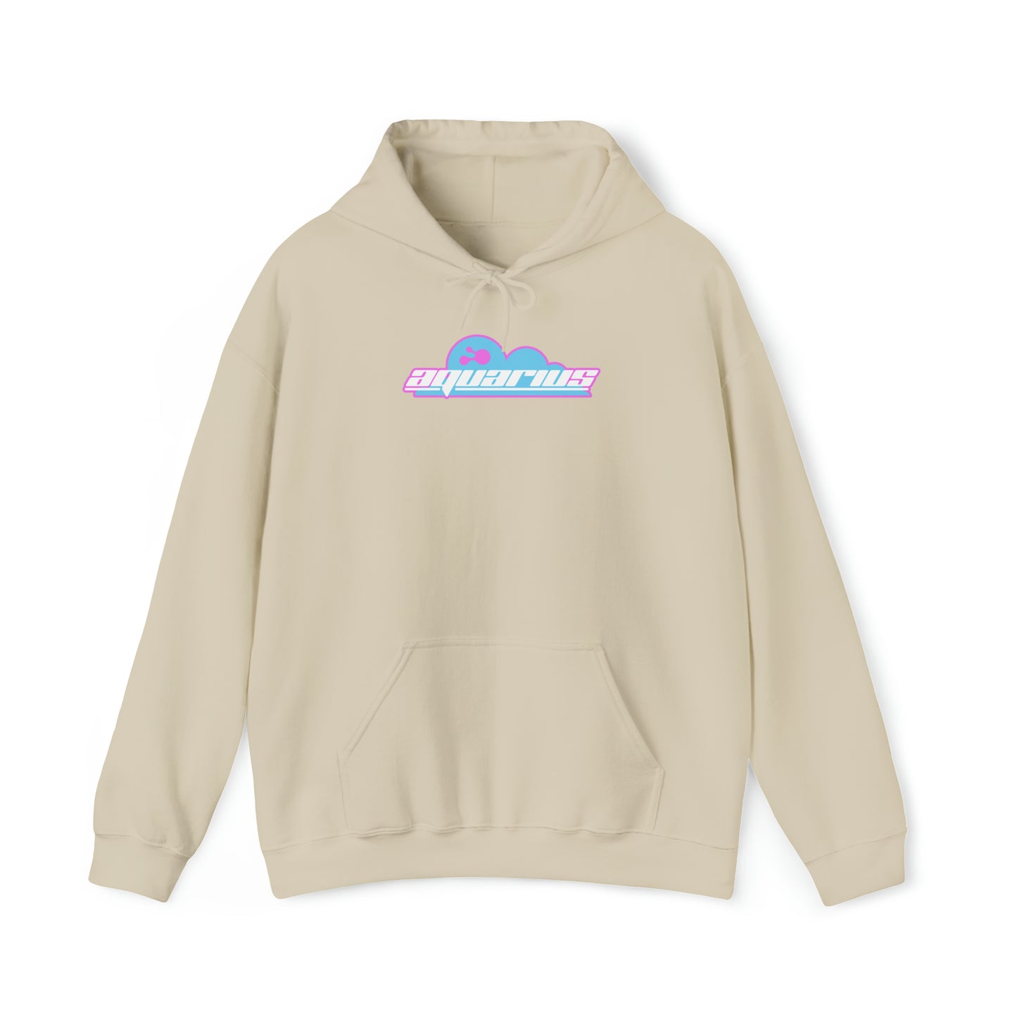 Aquarius Y2K Hoodie