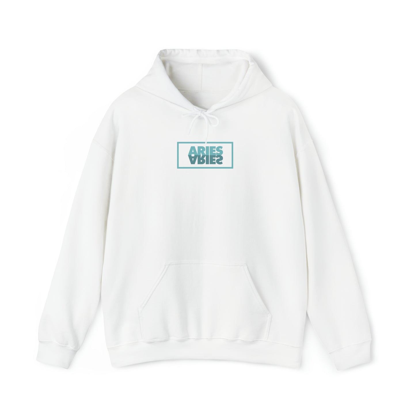 Aries Reflection Hoodie