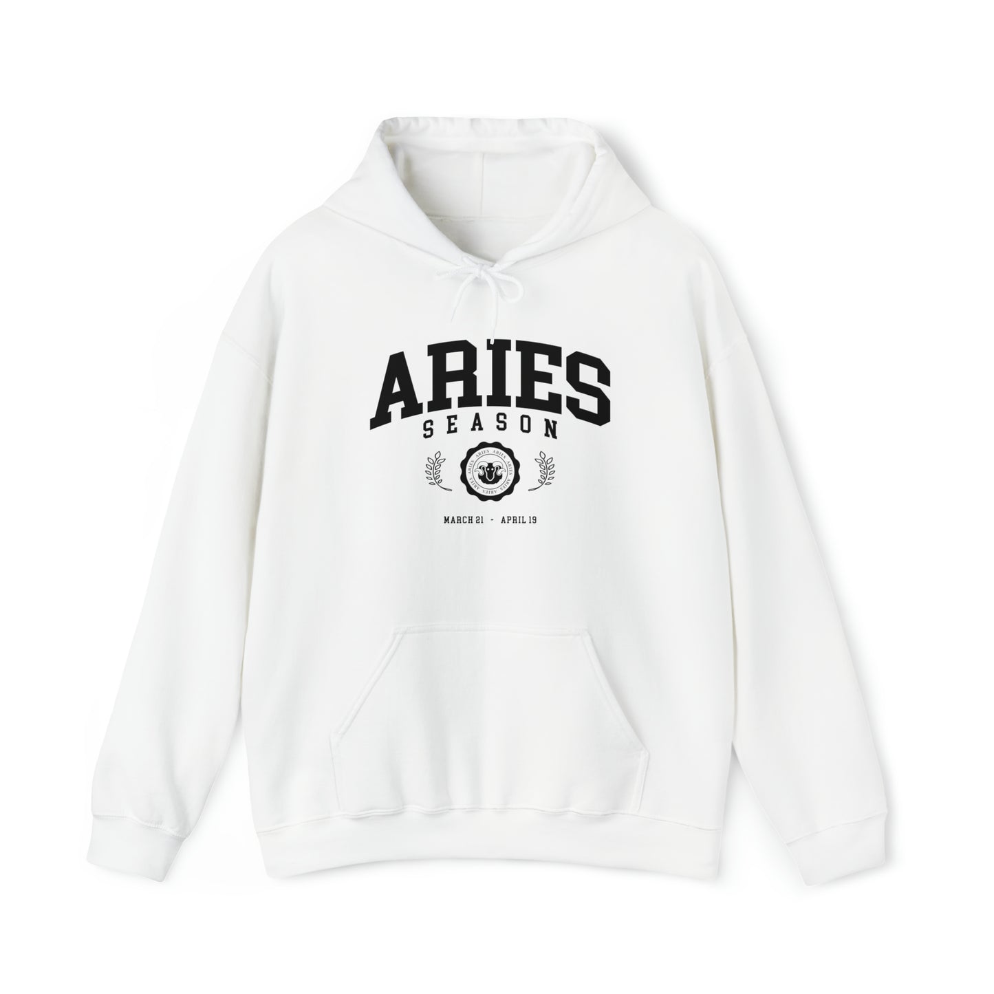 Aries University Hoodie