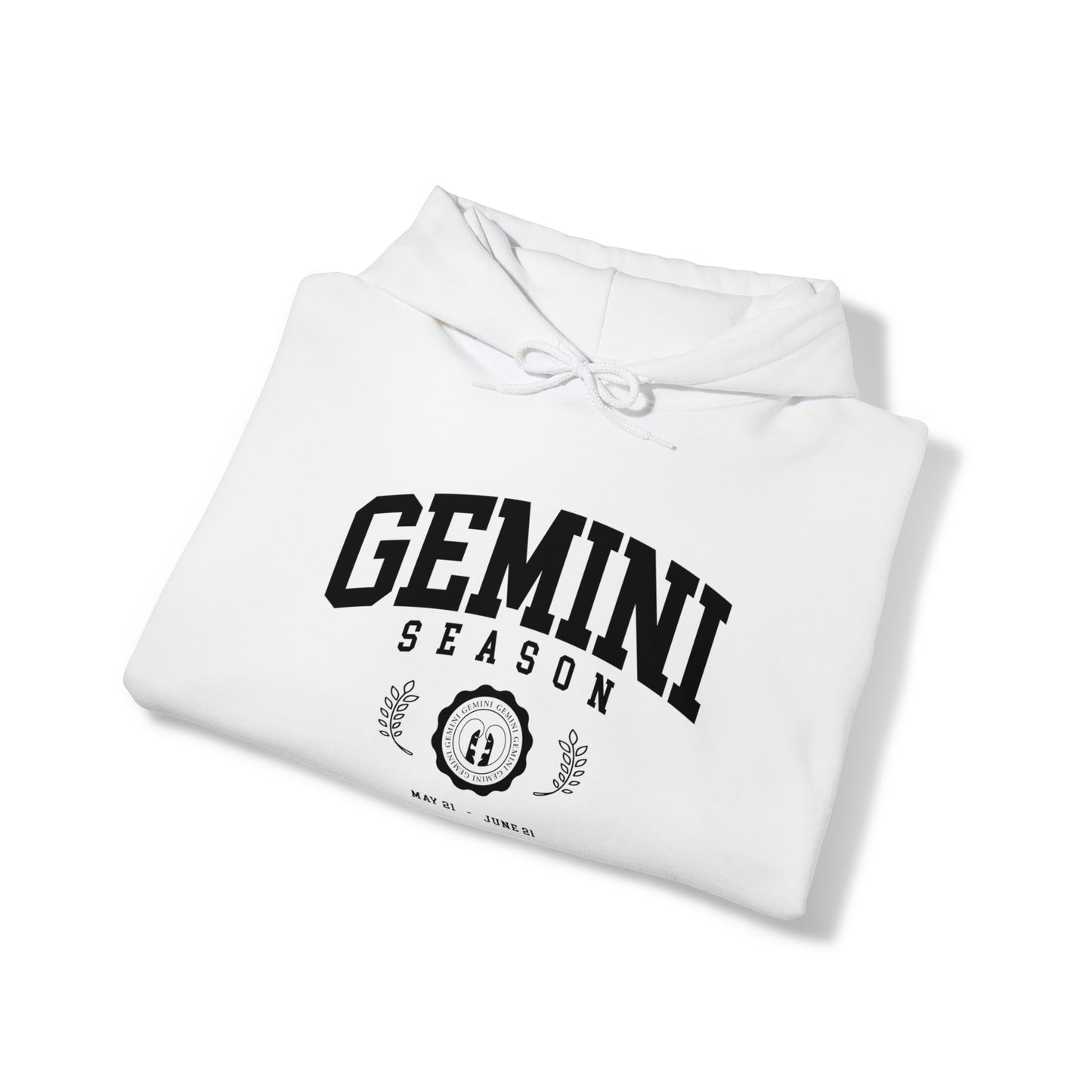 Gemini University Hoodie