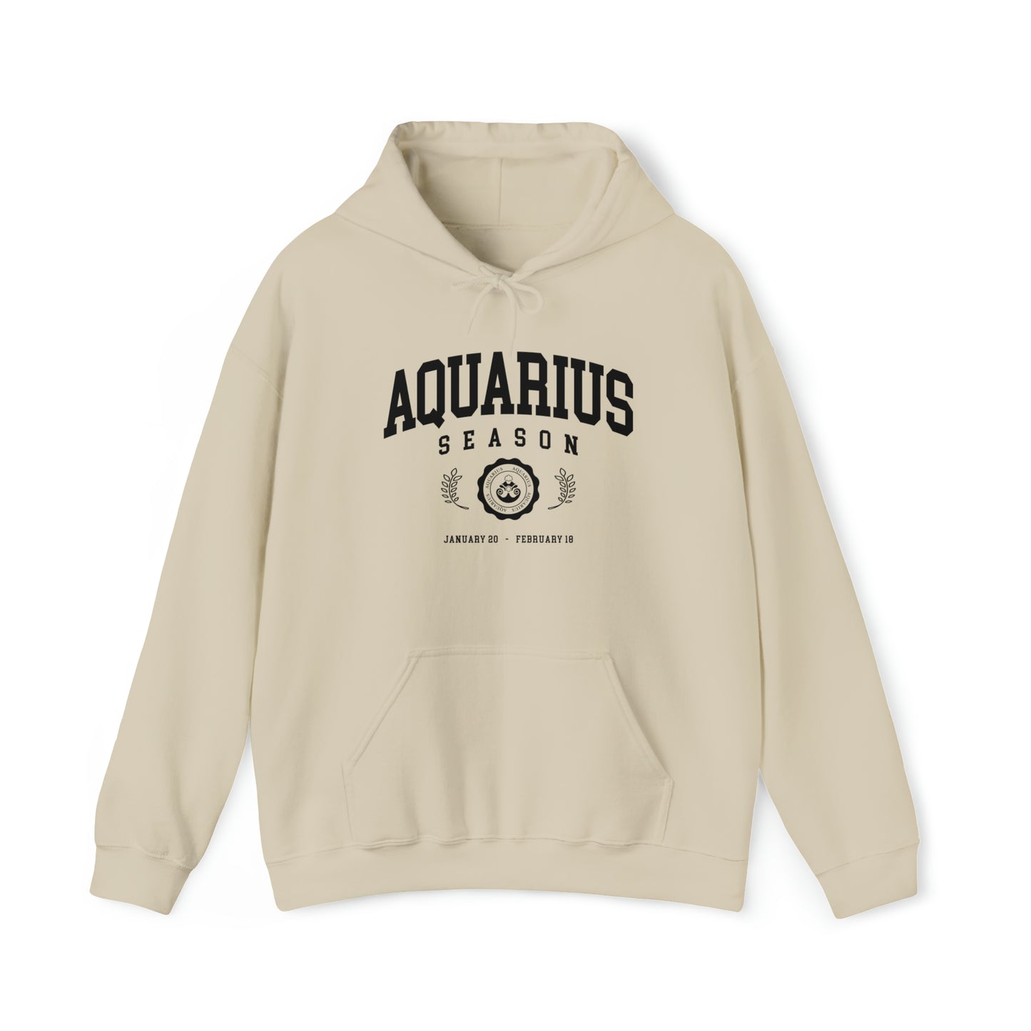 Aquarius University Hoodie